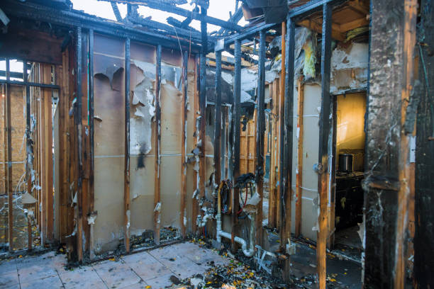 Professional Fire Damage Removal technician working in Pingree Grove, IL